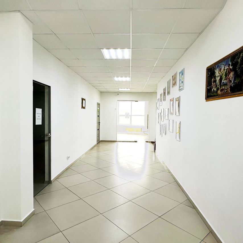 gallery--img